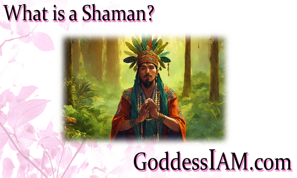 What is a Shaman?