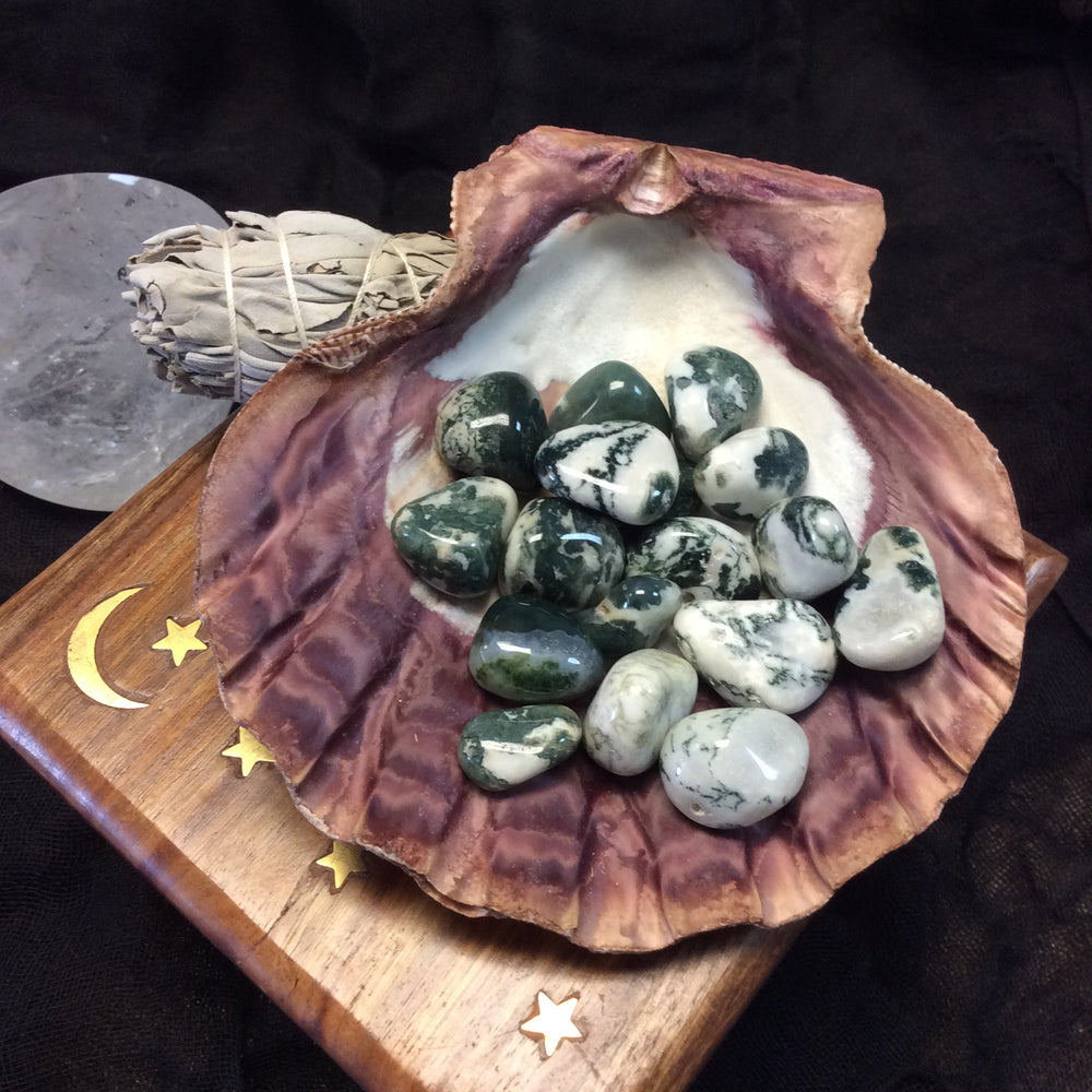 Tree Agate - Goddess I AM