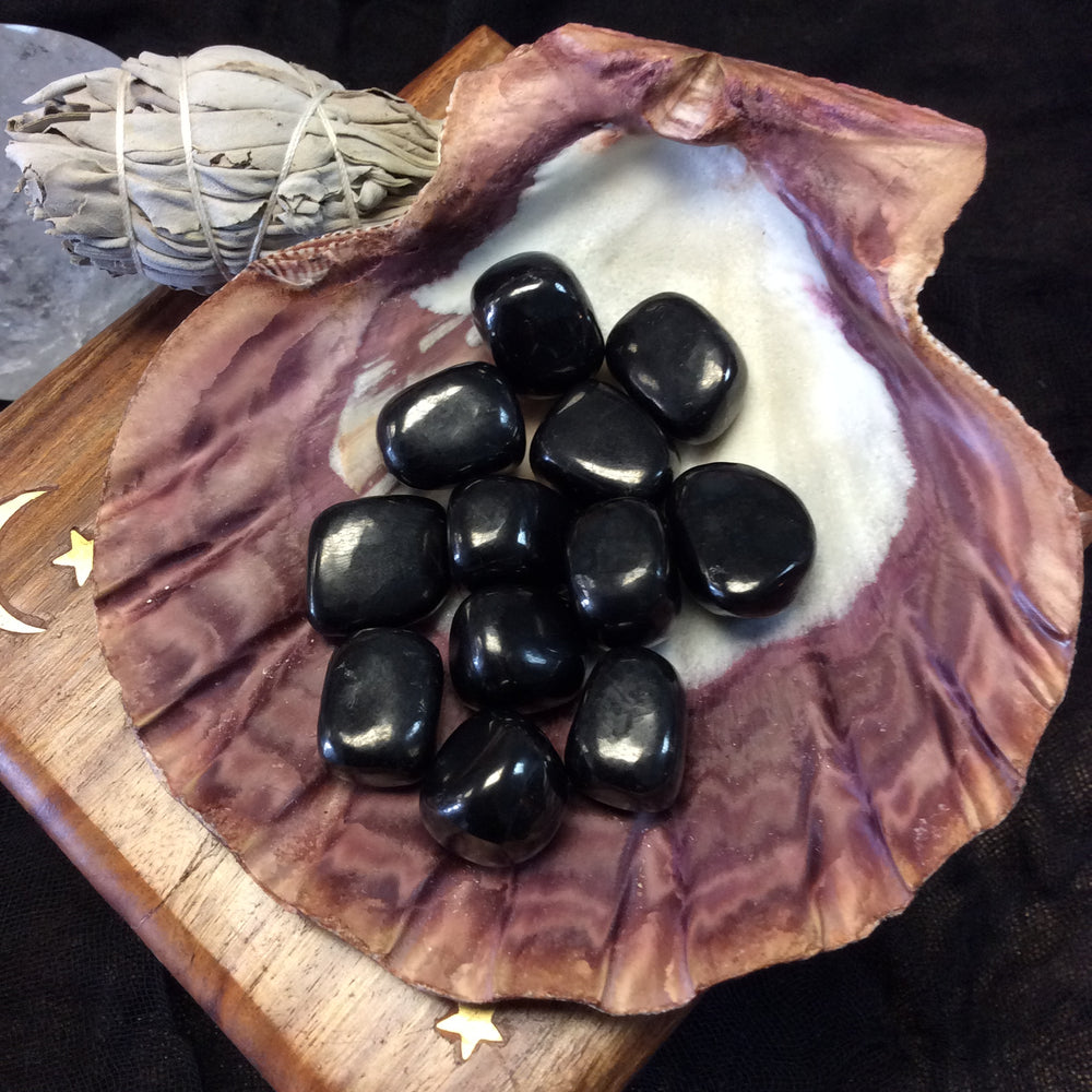 Shungite - Goddess I AM